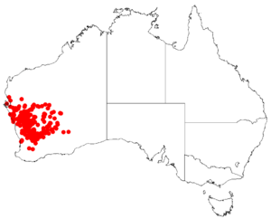 Hakea recurvaDistMap117.png