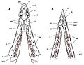 Heterodontosaurus jaw reconstruction sereno 2012