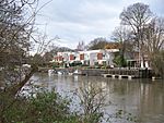 Housing on Eel Pie Island