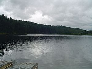 Kelsolake