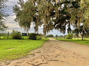 Lubee Bat Conservancy