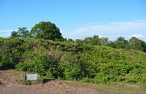 Maiden Castle(Cheshire)