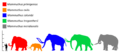 Mammuthus Size comparison