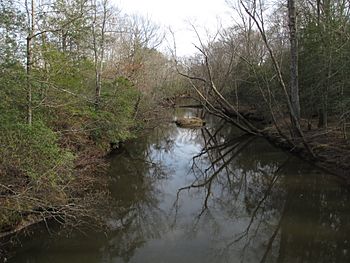 Mattaponi River 20170218.jpg