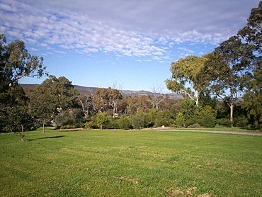 Modbury North South Australia.JPG