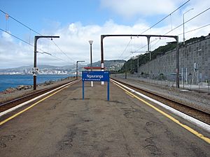 Ngauranga railway station 01