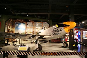 P51RobinsAFB