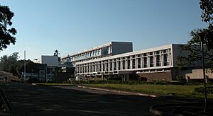 Polytechnic blantyre