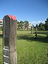 Public art - River Posts, Claisebrook.jpg