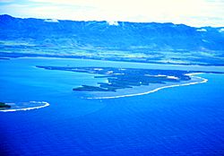 Puerto Rico, Jobos Bay