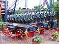 SheiKra (Busch Gardens Africa) 04