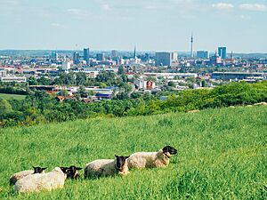 Skyline Panorama Dortmund