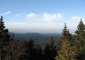 Thuringian forest oberer inselsberg view to north ds 10 2006