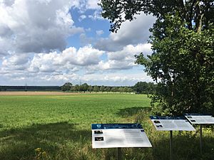 Timeloberg 08.27