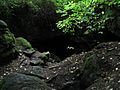 Torhola cave entrance Aug2008