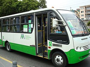 Transvalparaíso