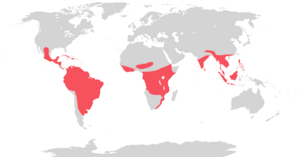 Trogon range.png