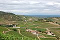 View from Chiroubles Cru Beaujolais