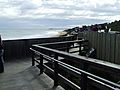 Whale Watching at Logan Beach