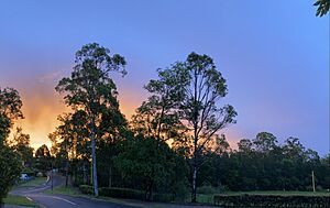 Woodlands Boulevard, Waterford QLD