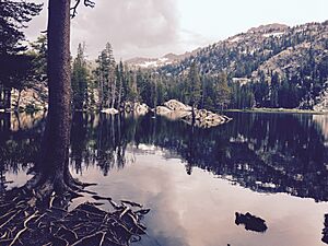 Woods-Lake-Sierra-Nevada-Alpine-Janine-Sprout