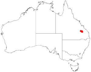 Acacia hockingsiiDistMap436.png