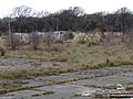 Addington Saleyards 02