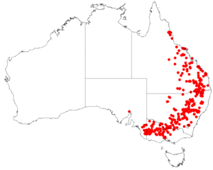 AllocasuarinaluehmanniiDistributionMap29.png