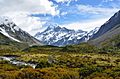 Aoraki Mount Cook (32968667)