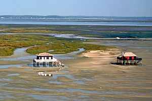 Bassin d'Arcachon - Cabanes tchanquées