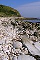 Beach to the east of Osmington Mills - geograph.org.uk - 1322277