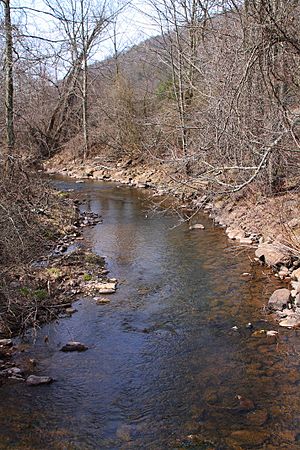 Beaver Run looking downstream