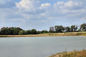 Bonham state park dam