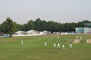 Canterbury Cricket