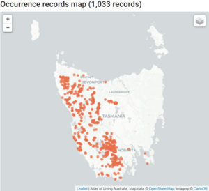 DistributionTrochocarpa cunninghamii.png