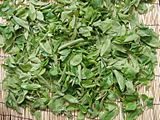 Drying persimmon leaves