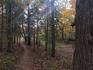 Dte trail green lake