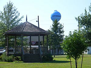 Effingham Water Tower (2010)