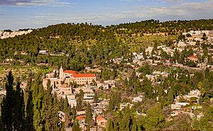 Ein Kerem Panoramic View