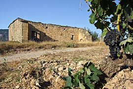 Ermita de San Roque-Abalos-14074