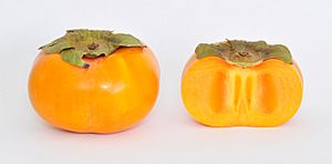 Fuyu Persimmon (Diospyros Kaki)