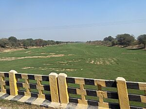 Ghaggar river near Naurangdesar village