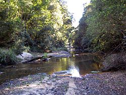 Hacking River near Lady Carrington Drive.jpg