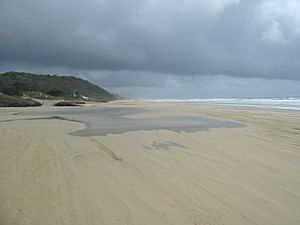 Happy Valley, Fraser Island, 2004