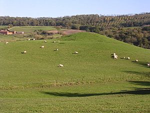 Homme Castle Mound.jpg