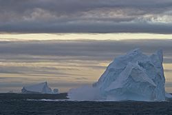 Icebergs near South Shetland Islands