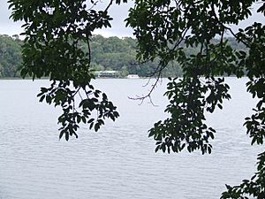 Lake Barrine with a view of the tea rooms and cruise boat