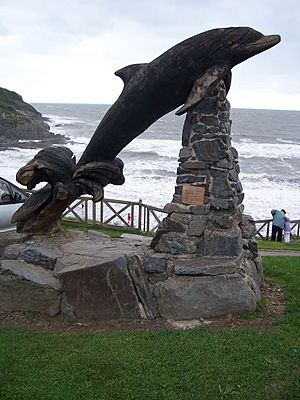 LeapingDolphinAberporth.jpg