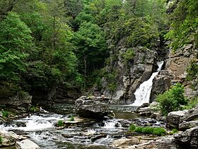 Linville Falls-27527-3.jpg