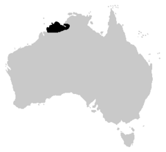 Litoria splendida range.PNG